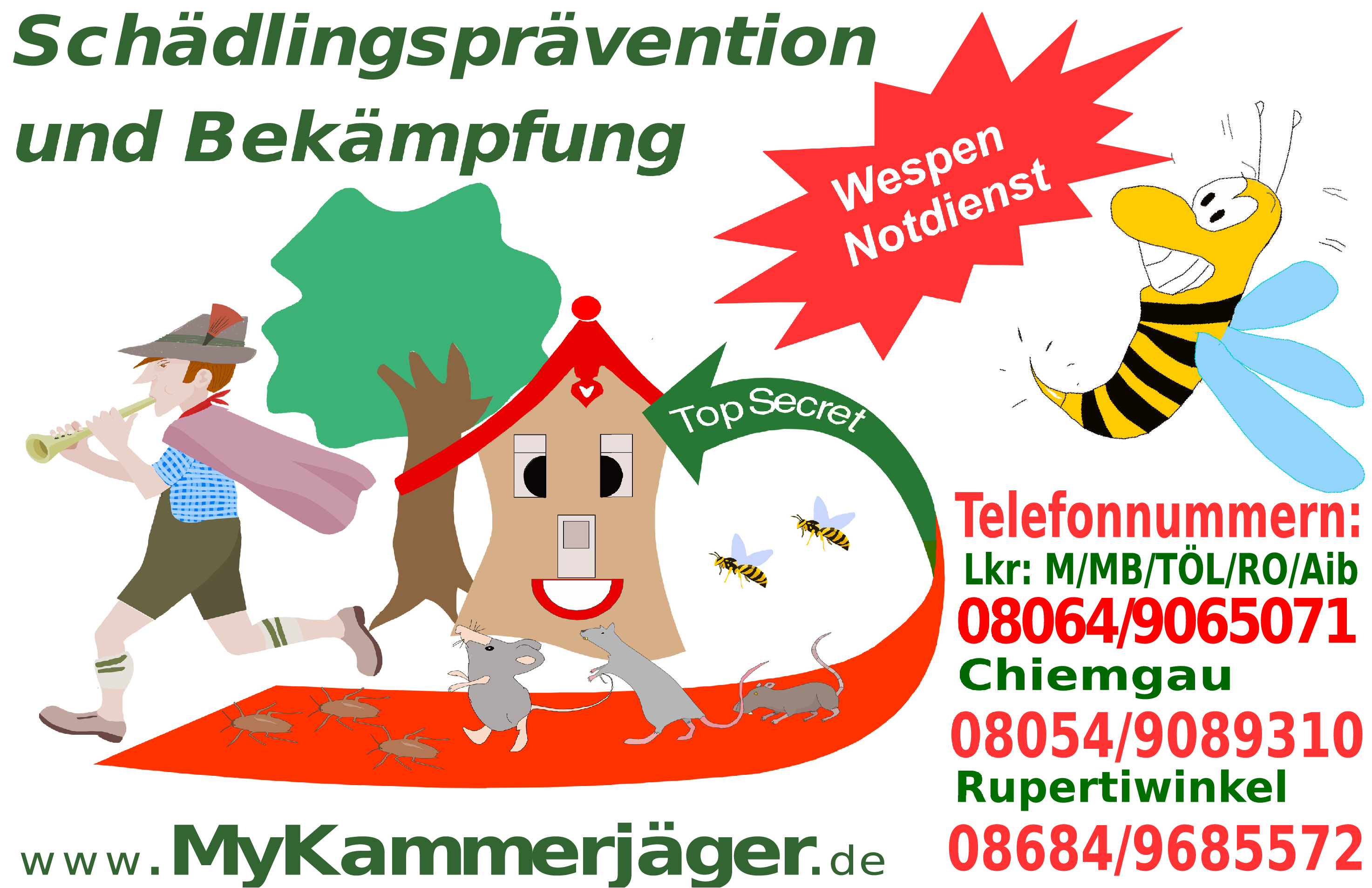 Wespen-Notdienst – Wespennest fachgerecht entfernen